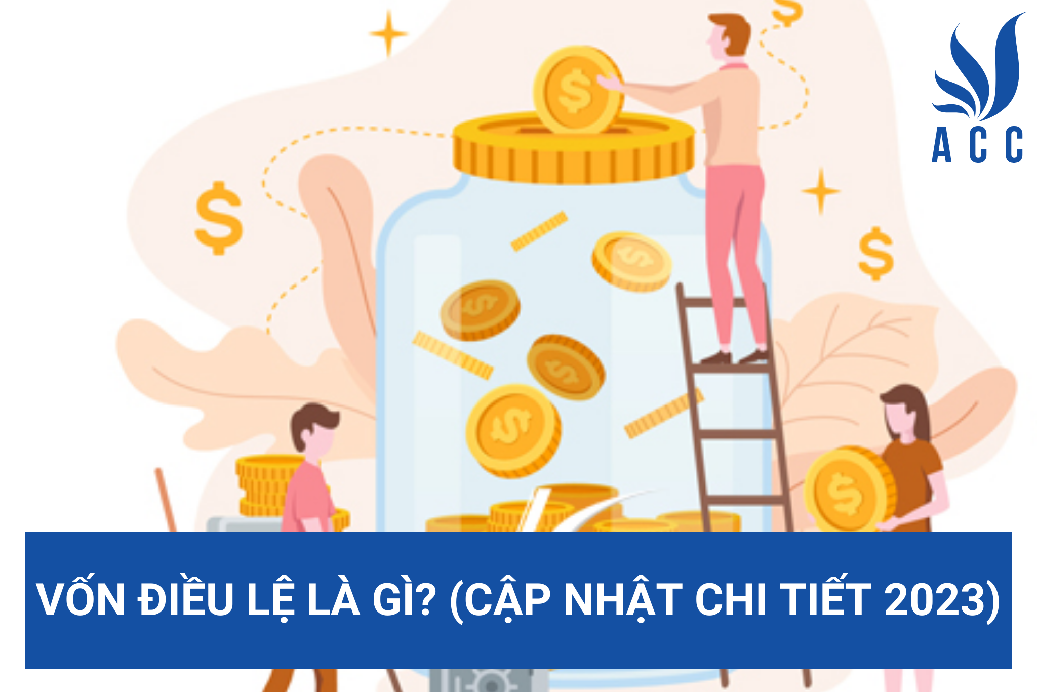 Vốn điều lệ là gì? (Cập nhật chi tiết 2023)