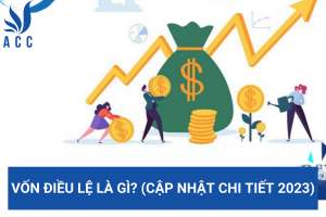 Vốn điều lệ là gì? (Cập nhật chi tiết 2023)