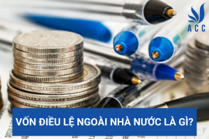 Vốn điều lệ ngoài nhà nước là gì?