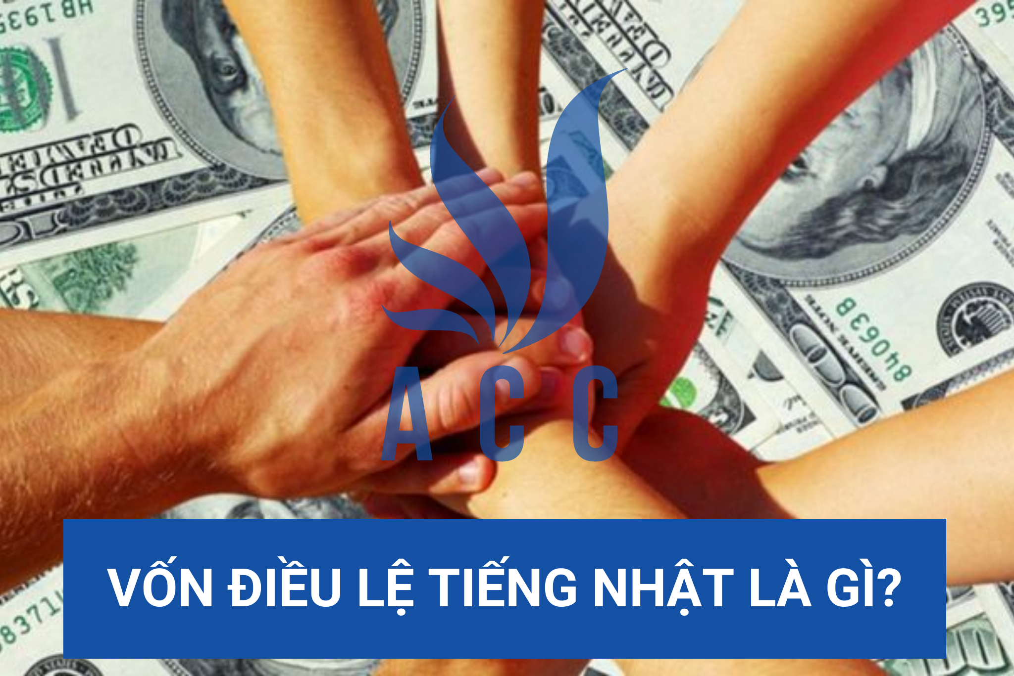 Vốn điều lệ tiếng Nhật là gì?