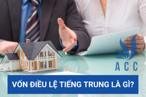 Vốn điều lệ tiếng Trung là gì?