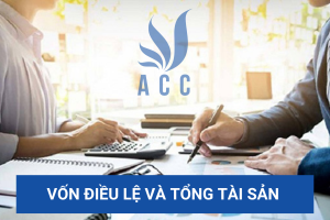 Vốn điều lệ và tổng tài sản (So sánh chi tiết nhất năm 2023)