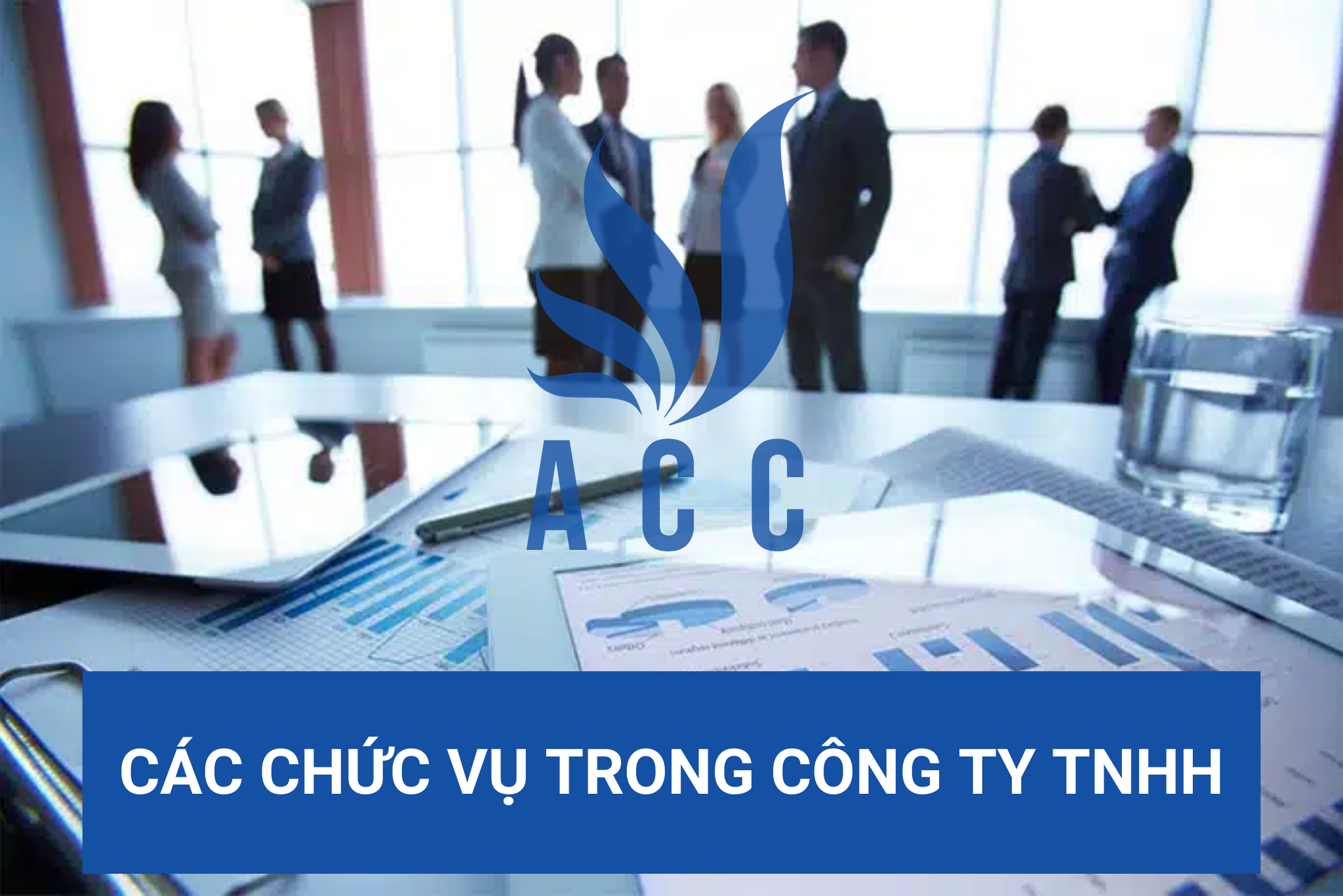 Các chức vụ trong công ty TNHH