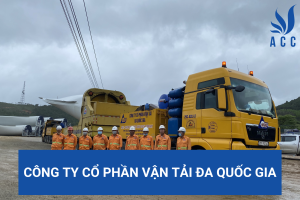 Công ty cổ phần vận tải đa quốc gia