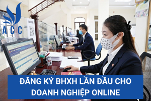 Đăng ký BHXH lần đầu cho doanh nghiệp online