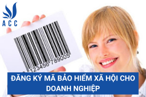 Đăng ký mã bảo hiểm xã hội cho doanh nghiệp