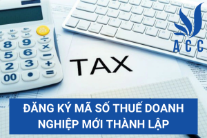 Đăng ký mã số thuế doanh nghiệp mới thành lập