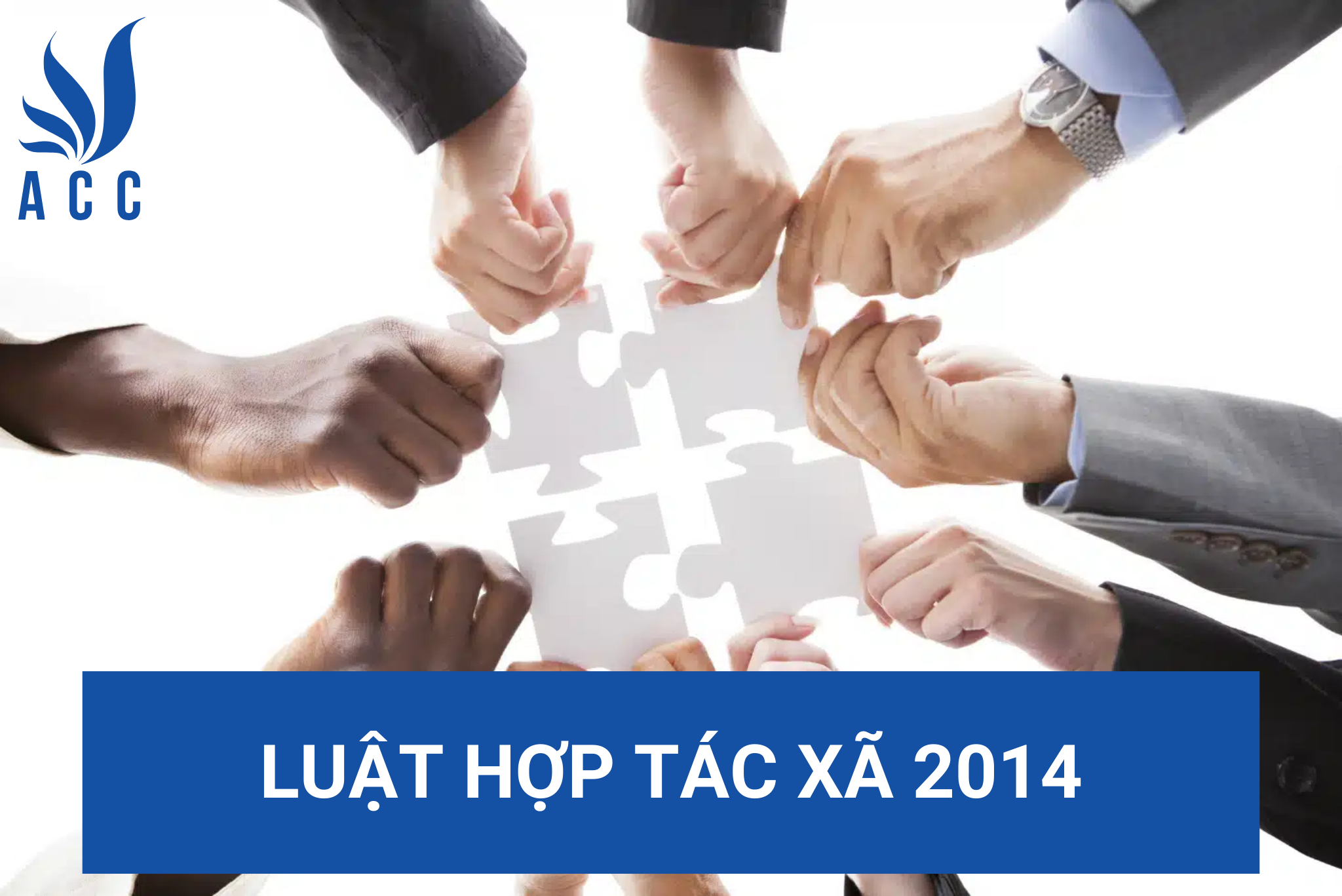 Luật hợp tác xã 2014