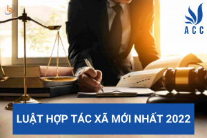 Luật Hợp tác xã mới nhất 2022