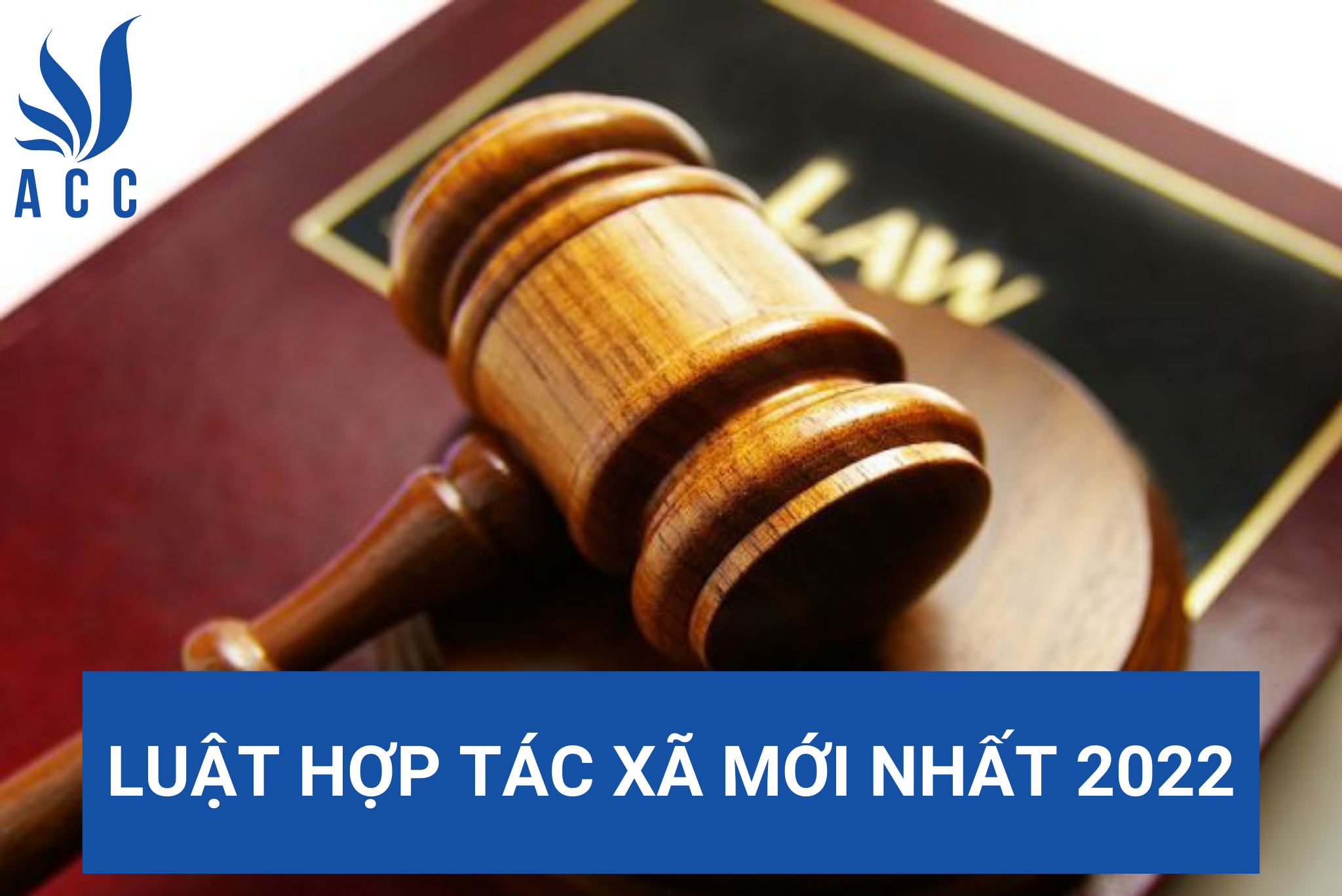 Luật Hợp tác xã mới nhất 2022