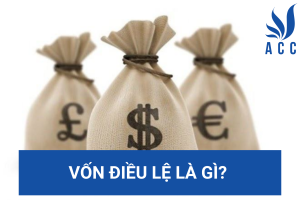 Vốn điều lệ là gì? (Chi tiết nhất 2023)