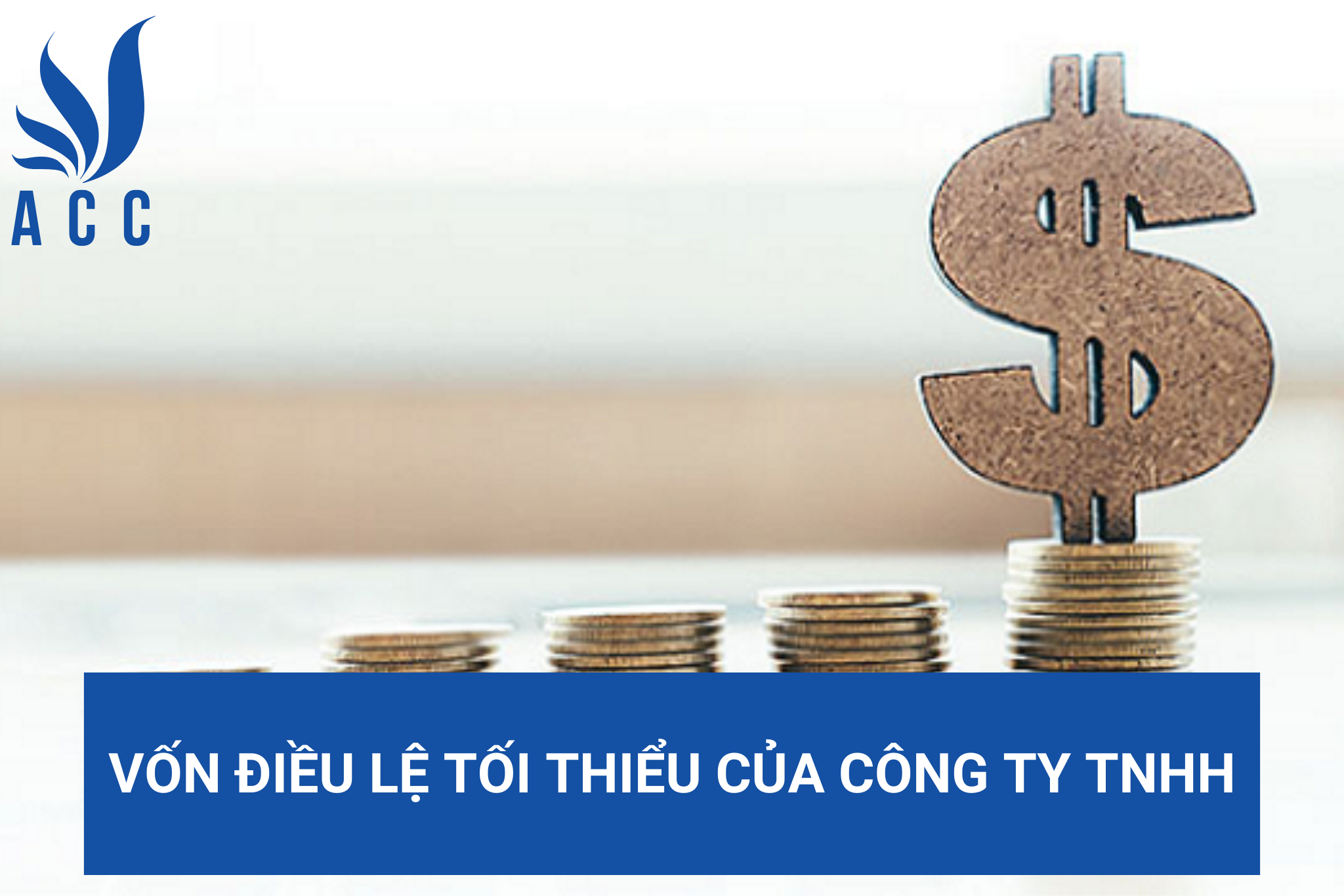 Vốn điều lệ tối thiểu của công ty TNHH