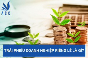 Trái phiếu doanh nghiệp riêng lẻ là gì?