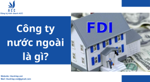 Công ty nước ngoài là gì?