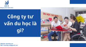 Công ty tư vấn du học là gì? 