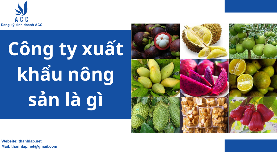 Công ty xuất khẩu nông sản là gì?