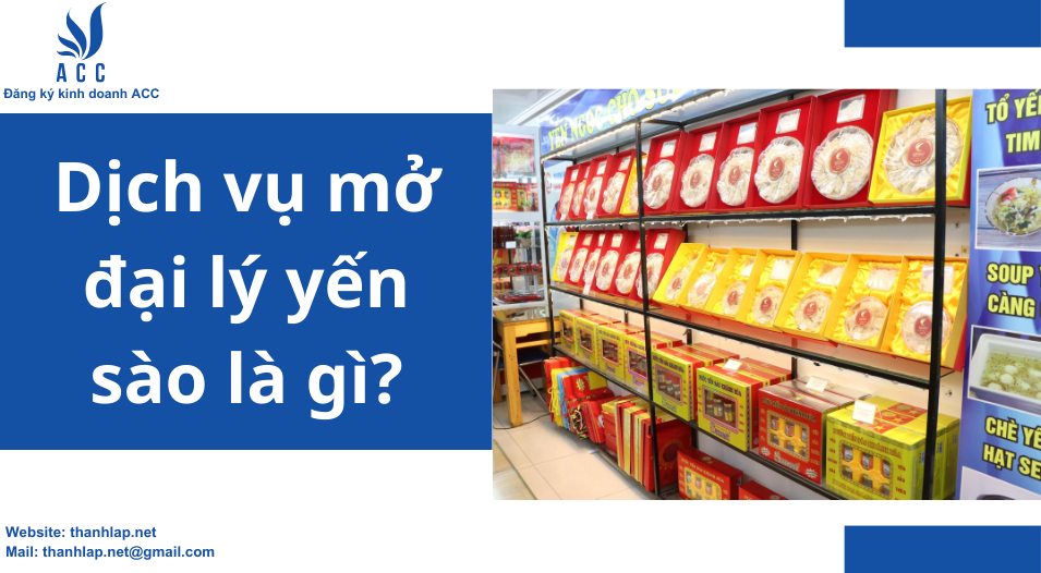 Dịch vụ mở đại lý yến sào là gì?
